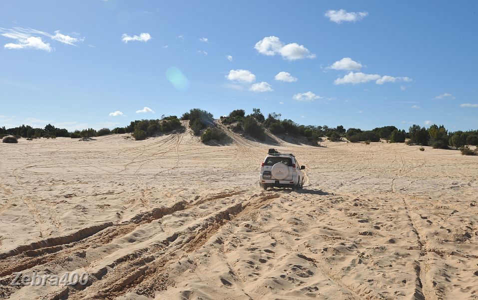19-Demon heads for the Ross Springs dune.JPG